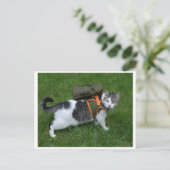 Camping Kat Briefkaart (Staand voorkant)