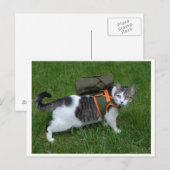 Camping Kat Briefkaart (Voorkant / Achterkant)