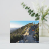 Camping on the San Jacinto Crest Briefkaart (Staand voorkant)