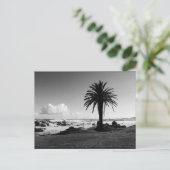 "Camps Bay South Africa" BW JTG Briefkaart (Staand voorkant)