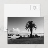 "Camps Bay South Africa" BW JTG Briefkaart (Voorkant / Achterkant)