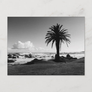 "Camps Bay South Africa" BW JTG Briefkaart