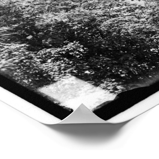 Campus, Amherst College, Amherst, Massachusetts. c Poster (Hoek)