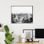 Campus, Amherst College, Amherst, Massachusetts. c Poster (Thuiskantoor)