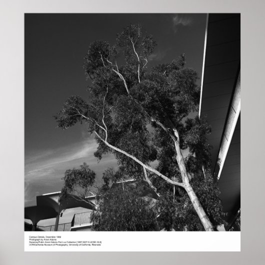 Campus Details, december 1966, ingediend door Anse Poster (Voorkant)