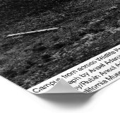 Campus from across Wildlife Pool, Irvine, 1967 Poster (Hoek)