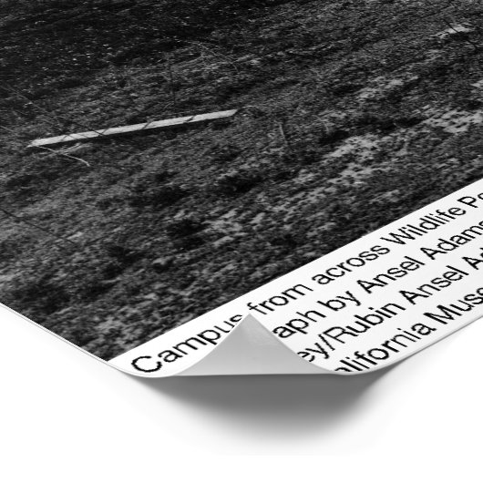 Campus from across Wildlife Pool, Irvine, 1967 Poster (Hoek)