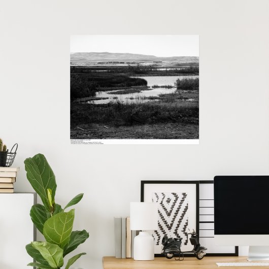 Campus from across Wildlife Pool, Irvine, 1967 Poster (Thuiskantoor)