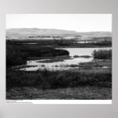 Campus from across Wildlife Pool, Irvine, 1967 Poster (Voorkant)