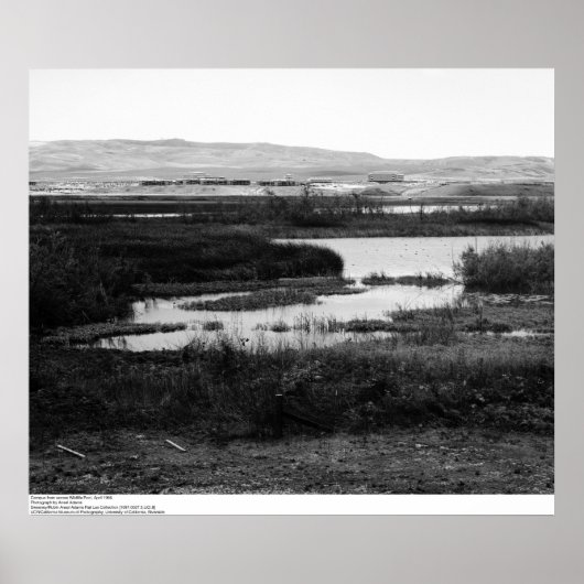 Campus from across Wildlife Pool, Irvine, 1967 Poster (Voorkant)