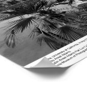 Campus Scene, UC Irvine, 1967 Poster (Hoek)