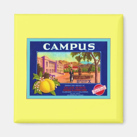 Campusmerk citroenen ~ fruitkratlabel magneet (Voorkant)