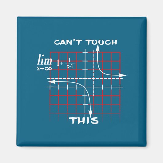 Can T Touch This Equation Math Funny Gift Magneet (Voorkant)