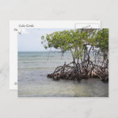 Caña Gorda Guanica Briefkaart (Voorkant / Achterkant)