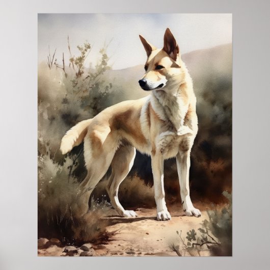 Canaan Dog Art Print Poster (Voorkant)