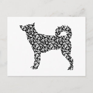 Canaan Dog Briefkaart