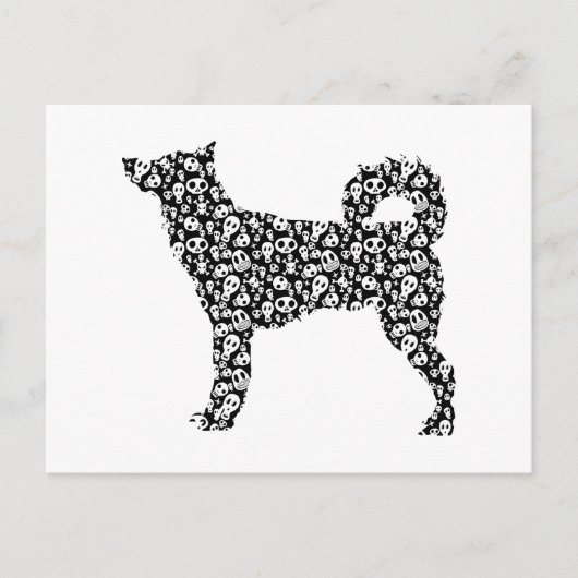 Canaan Dog Briefkaart (Voorkant)