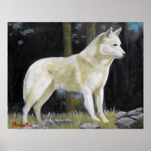 Canaan Dog Portrait Poster Print (Voorkant)