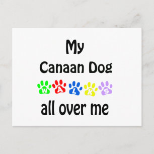 Canaan hond wandelingen ontwerp briefkaart