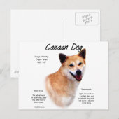 Canaan Hondengeschiedenis Ontwerp Briefkaart (Voorkant / Achterkant)