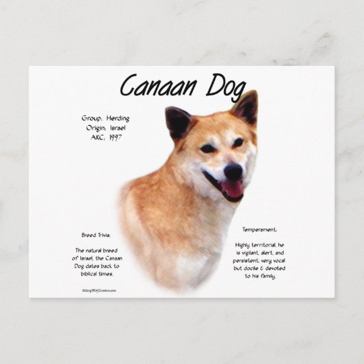 Canaan Hondengeschiedenis Ontwerp Briefkaart (Voorkant)