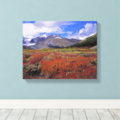 Canada, Alberta, Banff NP. Blauwe bosbessen bloeie Canvas Afdruk (Insitu (Houten vloer))