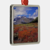 Canada, Alberta, Banff NP. Huckleberries bloem Metalen Ornament (Rechts)