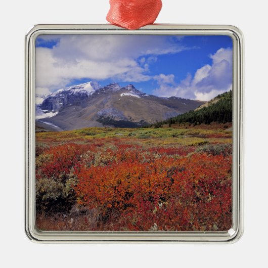 Canada, Alberta, Banff NP. Huckleberries bloem Metalen Ornament (Voorkant)