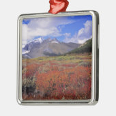 Canada, Alberta, Banff NP. Huckleberries bloem Metalen Ornament (Links)
