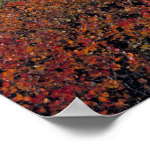 Canada, Alberta, Banff NP. Hucklebes leveren Poster (Hoek)