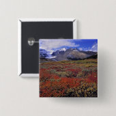 Canada, Alberta, Banff NP. Hucklebes leveren Vierkante Button 5,1 Cm (Voorkant /achterkant)