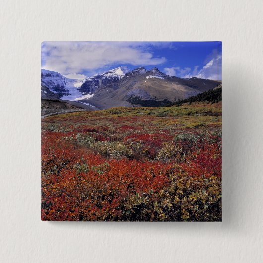 Canada, Alberta, Banff NP. Hucklebes leveren Vierkante Button 5,1 Cm (Voorkant)