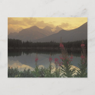 Canada, Alberta, Banff. Sunrise schilderachtig van Briefkaart