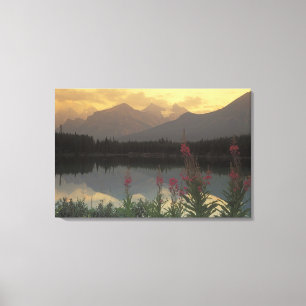 Canada, Alberta, Banff. Zonsopgang panorama van Canvas Afdruk