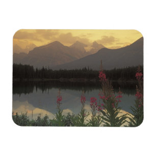 Canada, Alberta, Banff. Zonsopgang panorama van Magneet