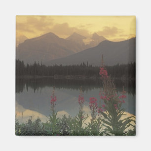 Canada, Alberta, Banff. Zonsopgang panorama van Magneet