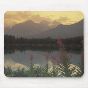 Canada, Alberta, Banff. Zonsopgang panorama van Muismat