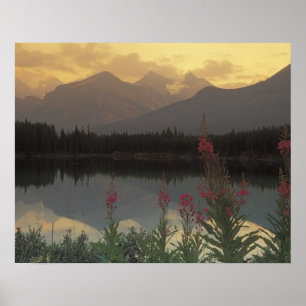 Canada, Alberta, Banff. Zonsopgang panorama van Poster