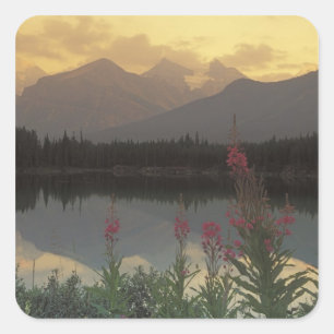 Canada, Alberta, Banff. Zonsopgang panorama van Vierkante Sticker