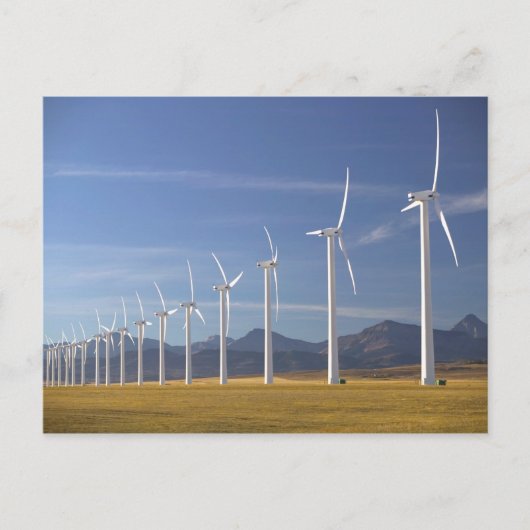 Canada, Alberta, Crowsnest Pass gebied: Cowley Briefkaart (Voorkant)