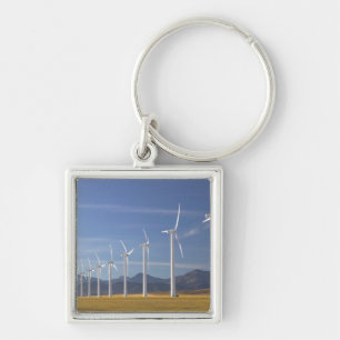 Canada, Alberta, Crowsnest Pass gebied: Cowley Sleutelhanger