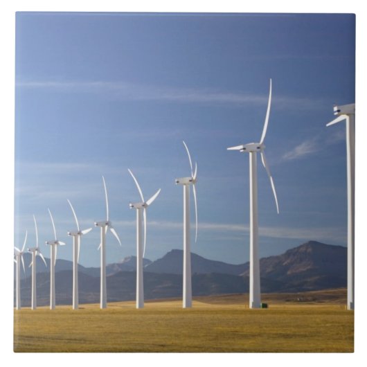 Canada, Alberta, het gebied waar de Kroonste passe Tegeltje (Voorkant)