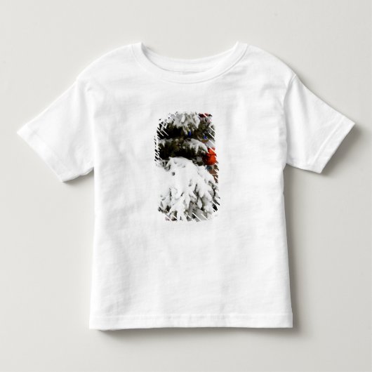 Canada, Alberta, Jasper, Jasper NP. Fairmont 2 Kinder Shirts (Voorkant)