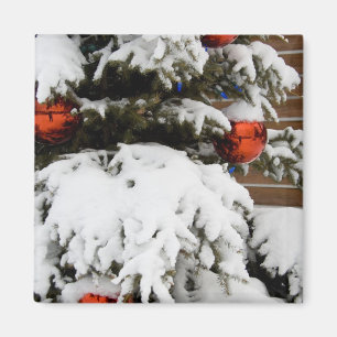 Canada, Alberta, Jasper, Jasper NP. Fairmont 2 Magneet