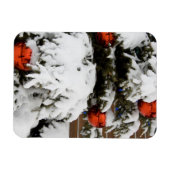 Canada, Alberta, Jasper, Jasper NP. Fairmont 2 Magneet (Horizontaal)