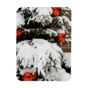 Canada, Alberta, Jasper, Jasper NP. Fairmont 2 Magneet