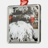 Canada, Alberta, Jasper, Jasper NP. Fairmont 2 Metalen Ornament (Links)