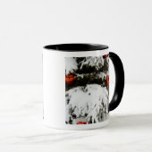 Canada, Alberta, Jasper, Jasper NP. Fairmont 2 Mok (Voorkant rechts)