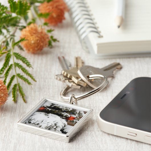 Canada, Alberta, Jasper, Jasper NP. Fairmont 2 Sleutelhanger (Zijkant)