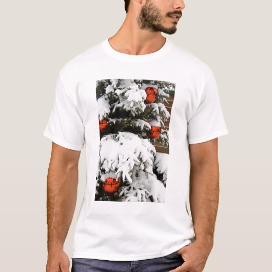 Canada, Alberta, Jasper, Jasper NP. Fairmont 2 T-shirt (Voorkant)